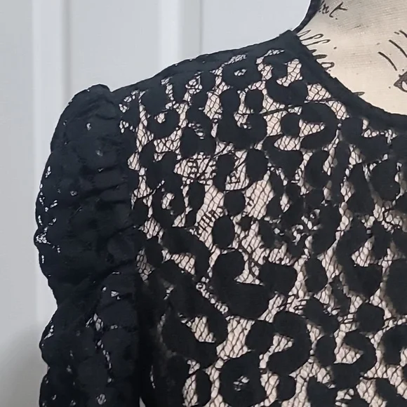 Current/Elliot The Rin Leopard Lace Design Top Size 0 - Picture 4 of 10